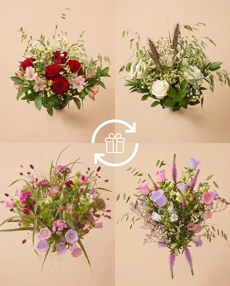 Blumenabo als Geschenk «Strauß des Monats»