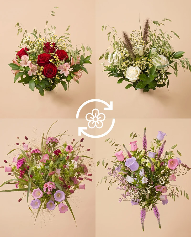 Blumenabo «Strauß des Monats»