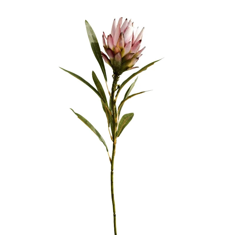 Künstliche Protea Blüte (Königsprotea) in Herbsttönen, 63 cm Länge, Real-Touch Seide, für Vasen, Hochzeitsdekoration, Wohnaccessoires