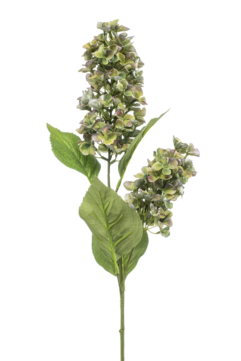 Hortensie Peegee künstlich 76 cm - 1 Stiel - Grün