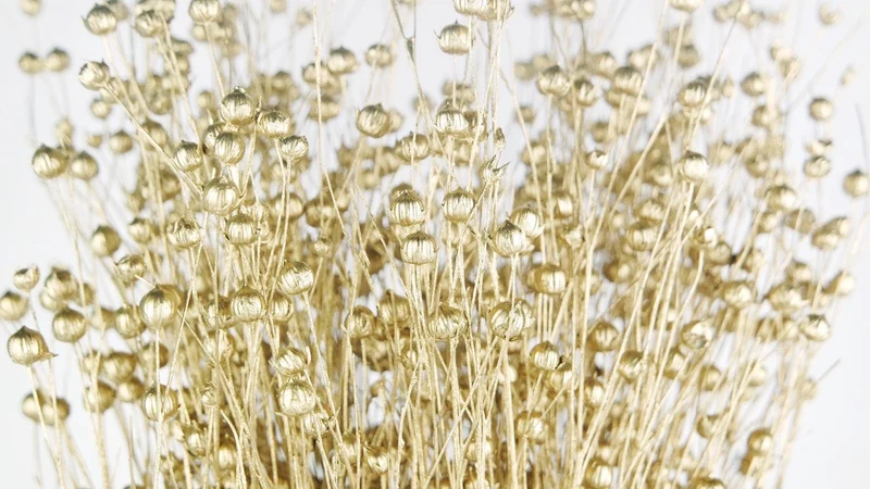 Flachs getrocknet - 1 Bund - Gold