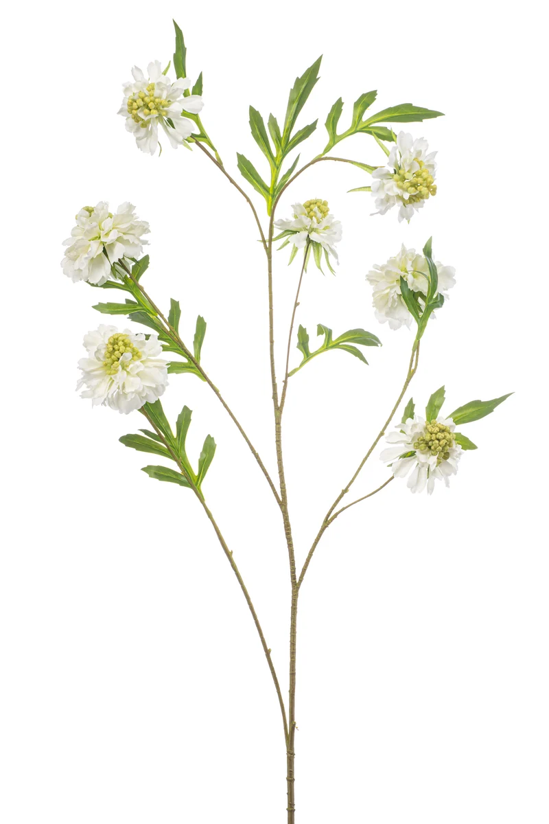 Scabiosa XL künstlich 113 cm - 1 Stiel - Creme