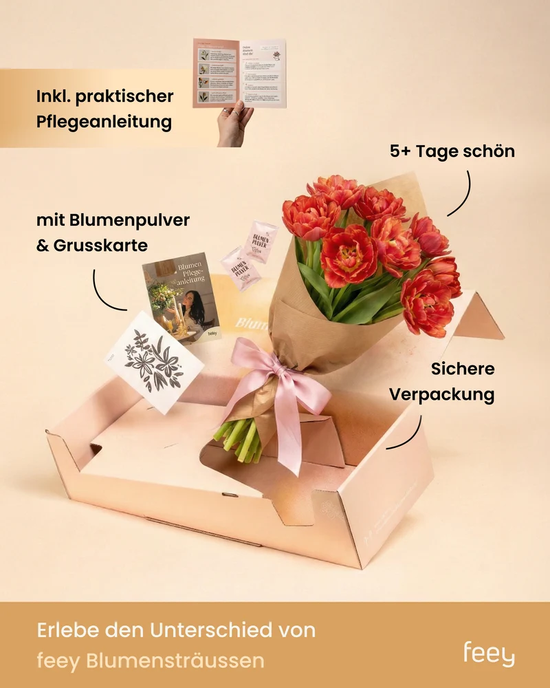 Tulpen «Liebesgedicht»