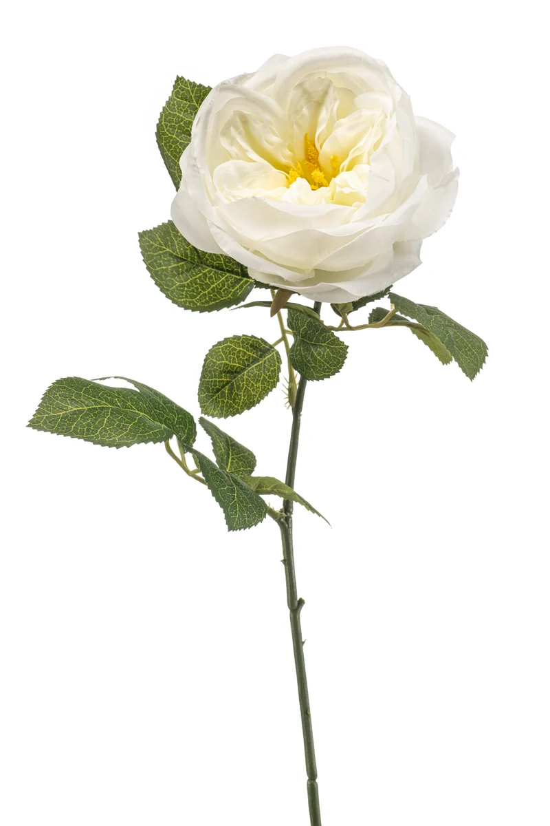 Englische Rose künstlich 65 cm - 1 Stiel - Weiß