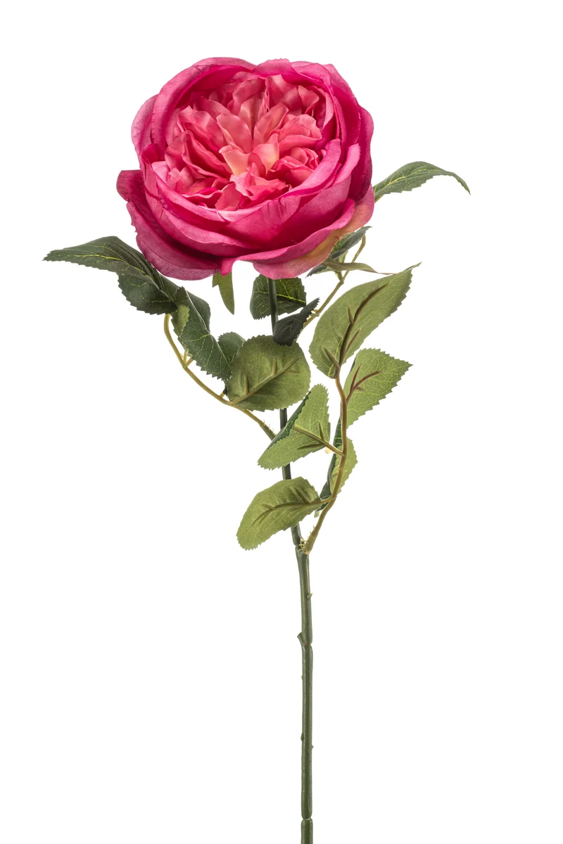 Englische Rose künstlich 65 cm - 1 Stiel - Fuchsienrot