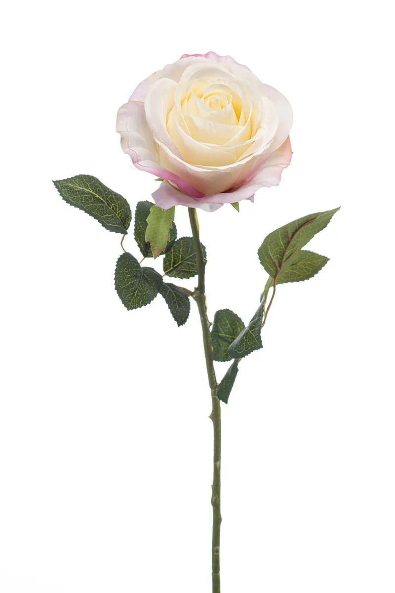 Rose künstlich 67 cm - 1 Stiel - Weiß/rosa