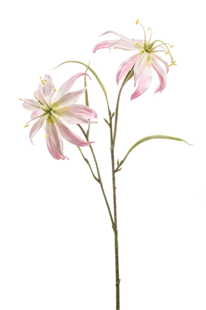 Ruhmeskrone künstlich 58 cm - 1 Stiel - Hellrosa