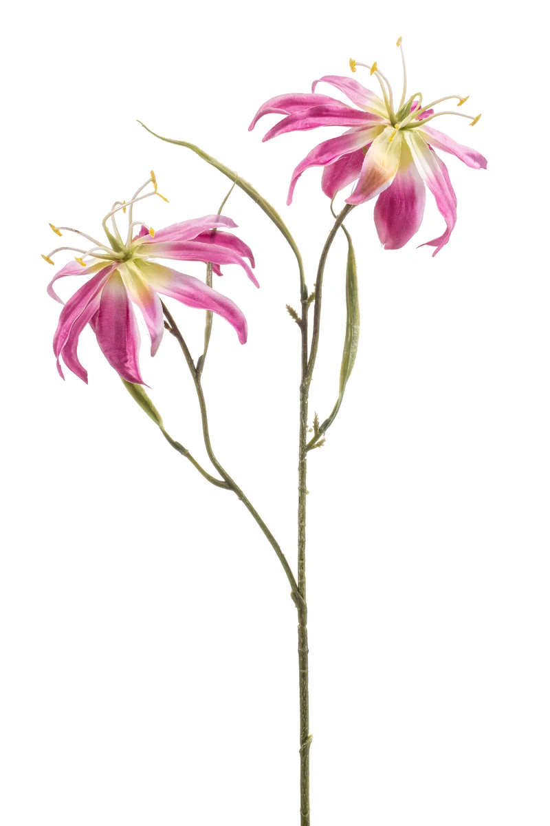 Ruhmeskrone künstlich 58 cm - 1 Stiel - Rosa