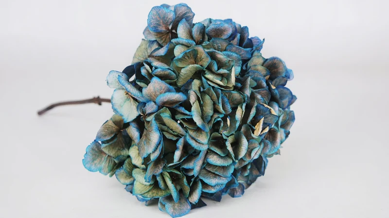 Getrocknete Hortensie - 1 Kopf - Blau