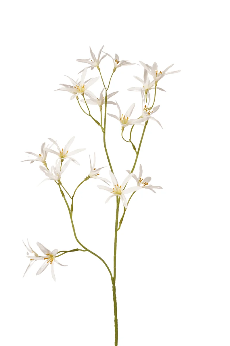 Tweedia künstlich 70 cm - 1 Zweig - Weiß