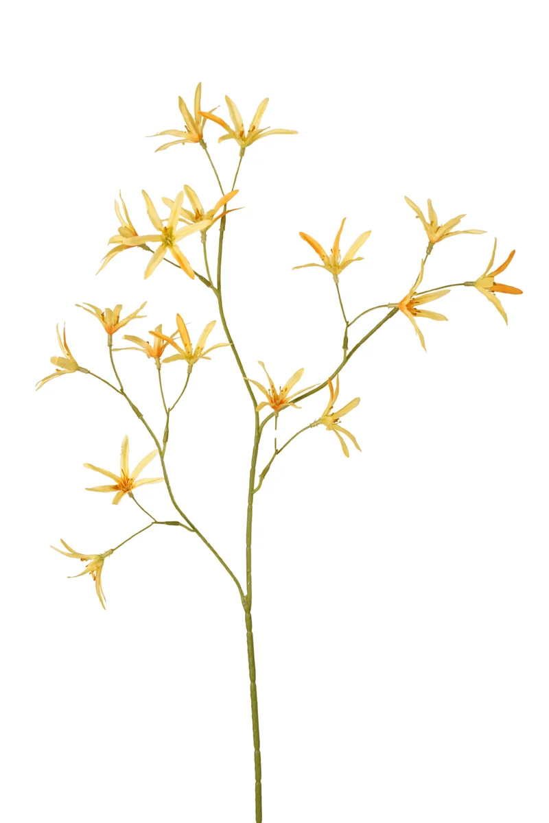 Tweedia künstlich 70 cm - 1 Zweig - Gelb