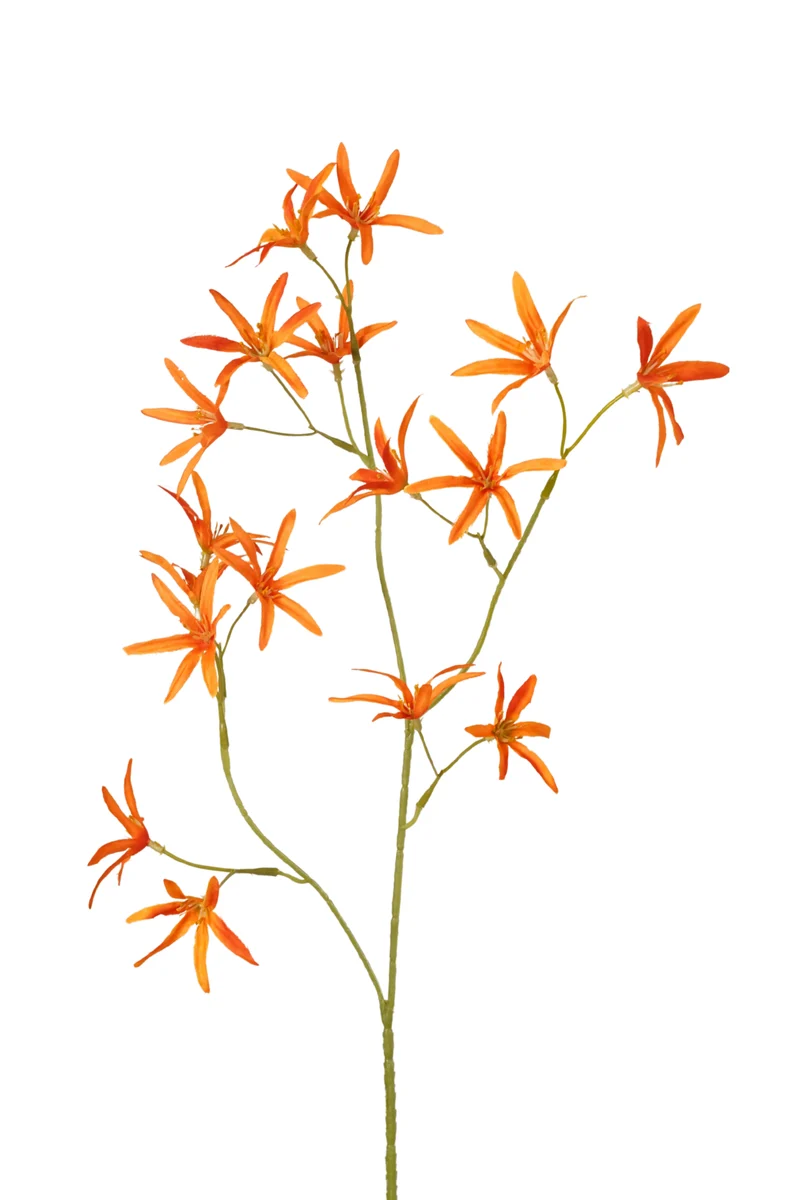 Tweedia künstlich 70 cm - 1 Zweig - Orange