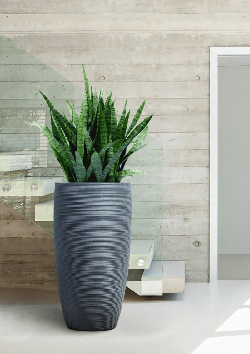 Pflanzkübel New Egg Pot – Eschbach Concrete in moderner Betonoptik