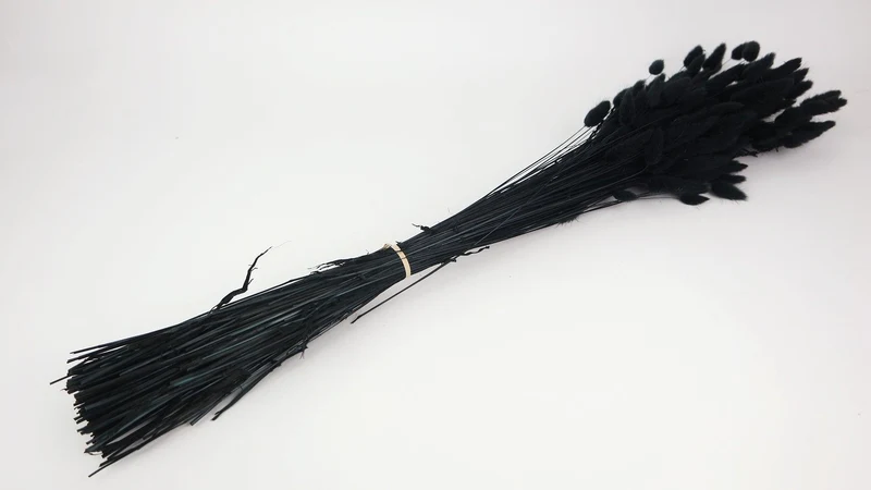 Lagurus getrocknet - 1 Bund - Schwarz