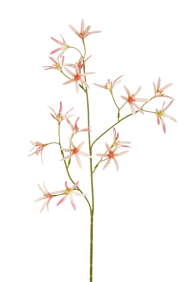 Tweedia künstlich 70 cm - 1 Zweig - Hellrosa