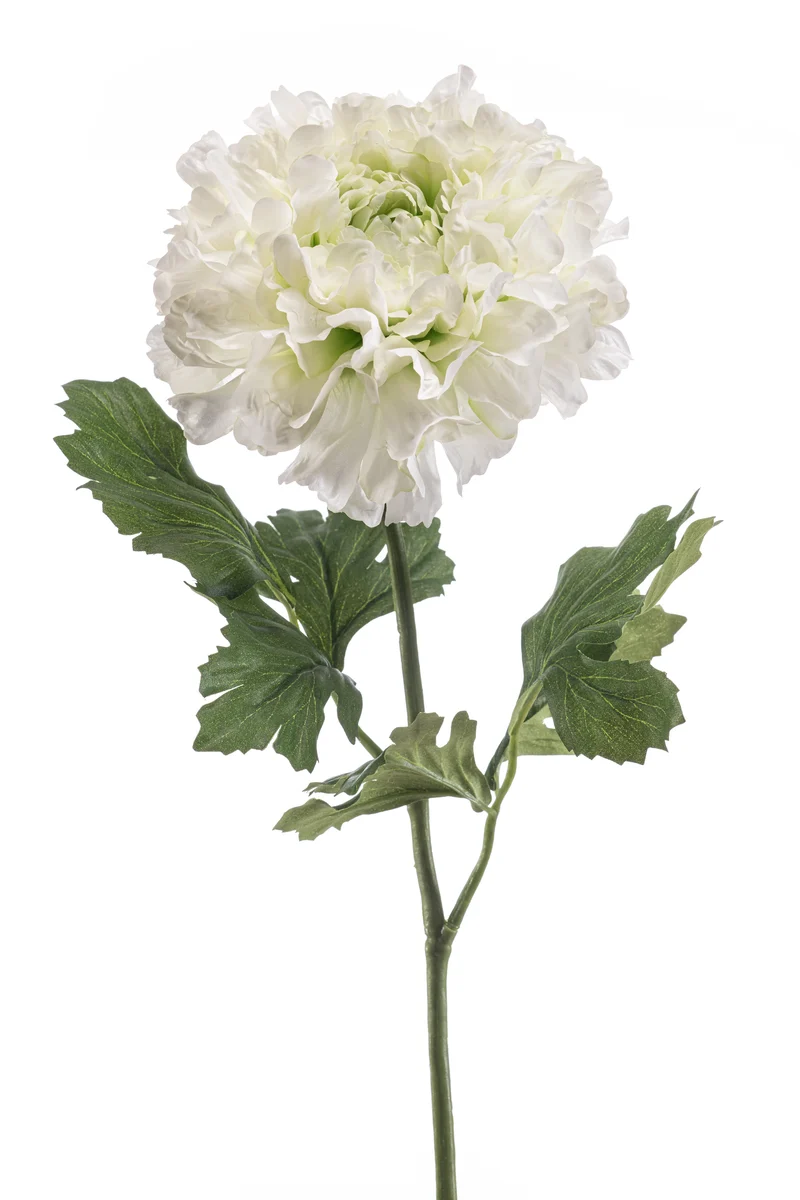 Ranunkel XL künstlich 60 cm - 1 Stiel - Creme/grün