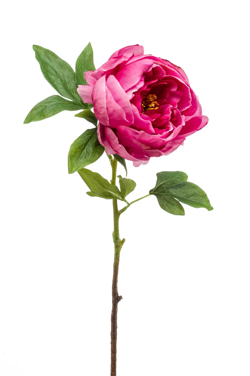 Pfingstrose künstlich 63 cm - 1 Stiel - Fuchsienrot