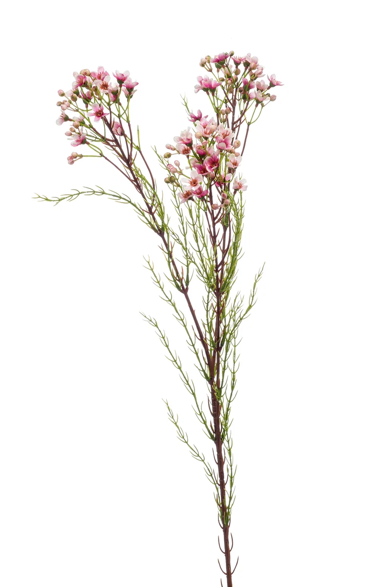 Wachsblume künstlich 78 cm - 1 Stiel - Rosa