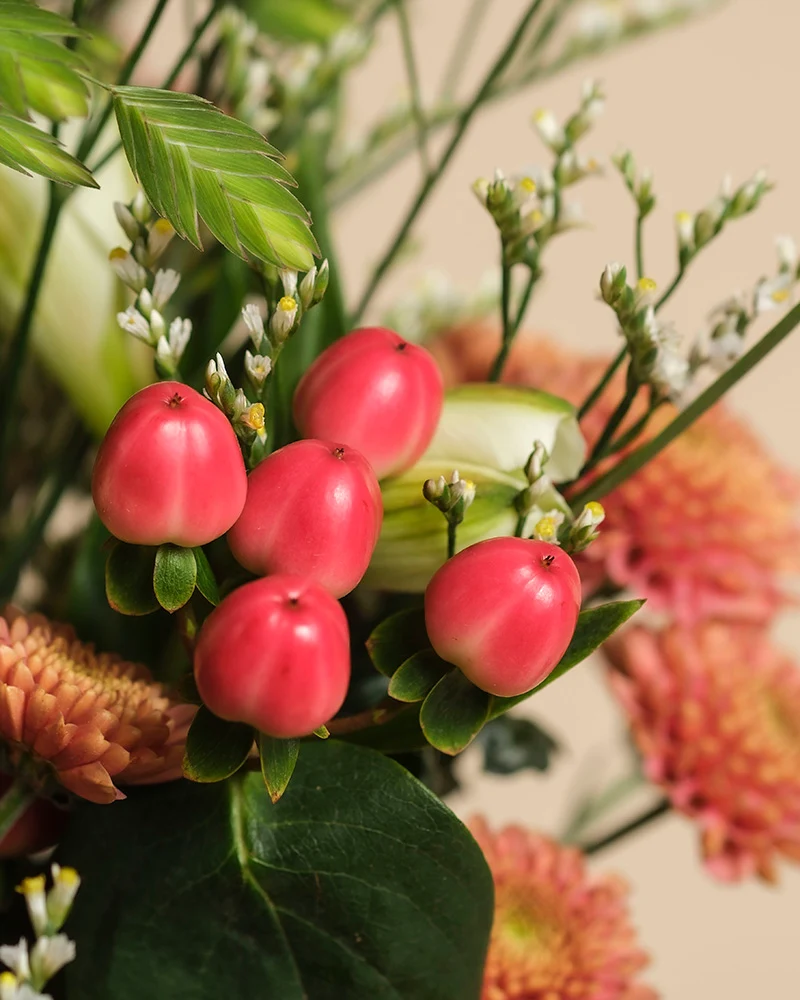 Herbstfreude