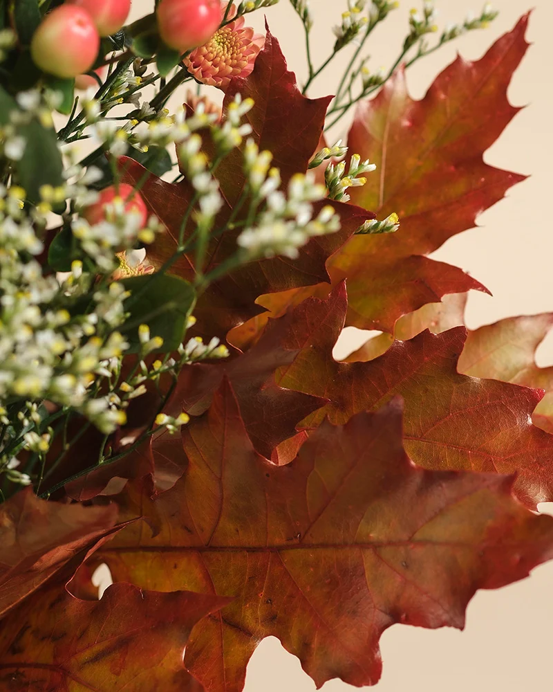Herbstfreude