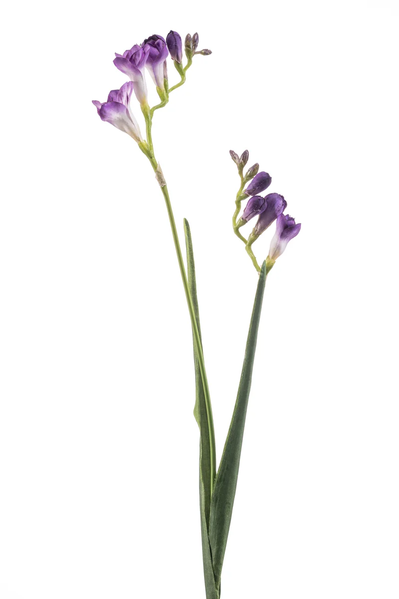 Freesie künstlich 80 cm - 1 Zweig - Lila