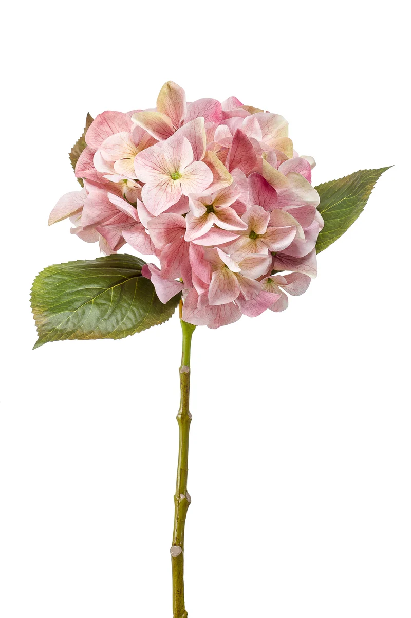 Hortensie künstlich 47 cm - 1 Kopf - Hellrosa