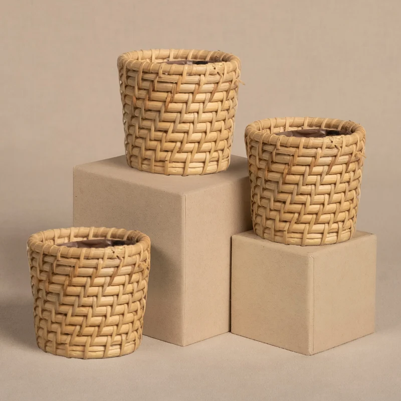 Rattan Babypflanzen-Korb 'Calen' (3 Stk.)