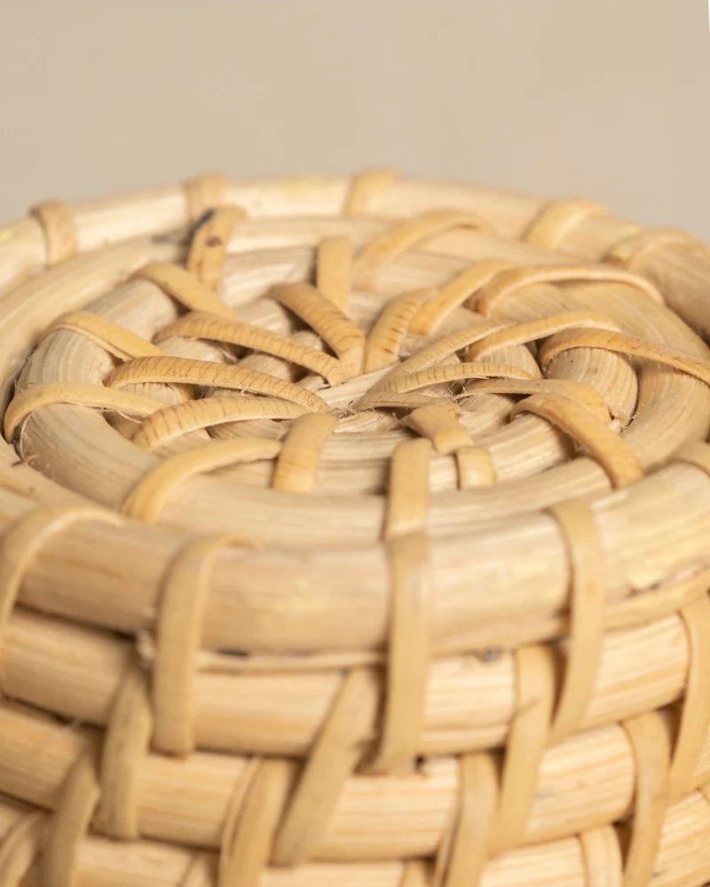 Rattan Babypflanzen-Korb 'Calen' (3 Stk.)