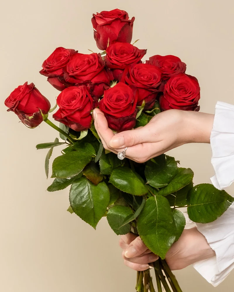 Rote Rosen