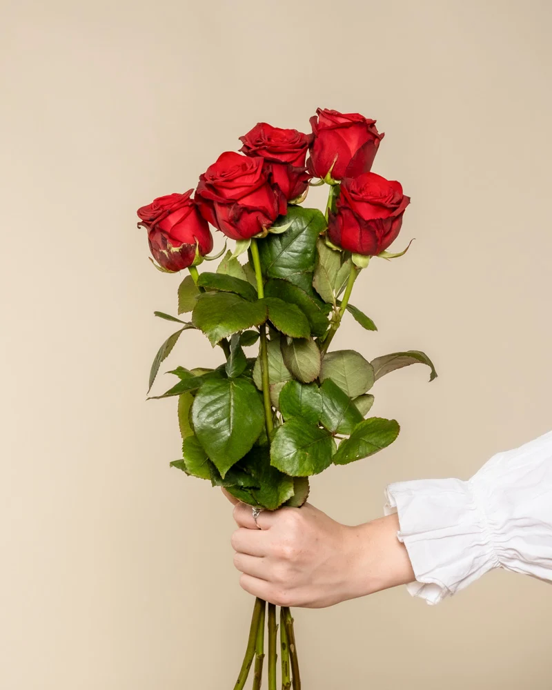 Rote Rosen