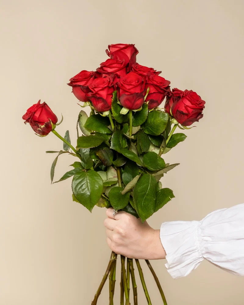 Rote Rosen
