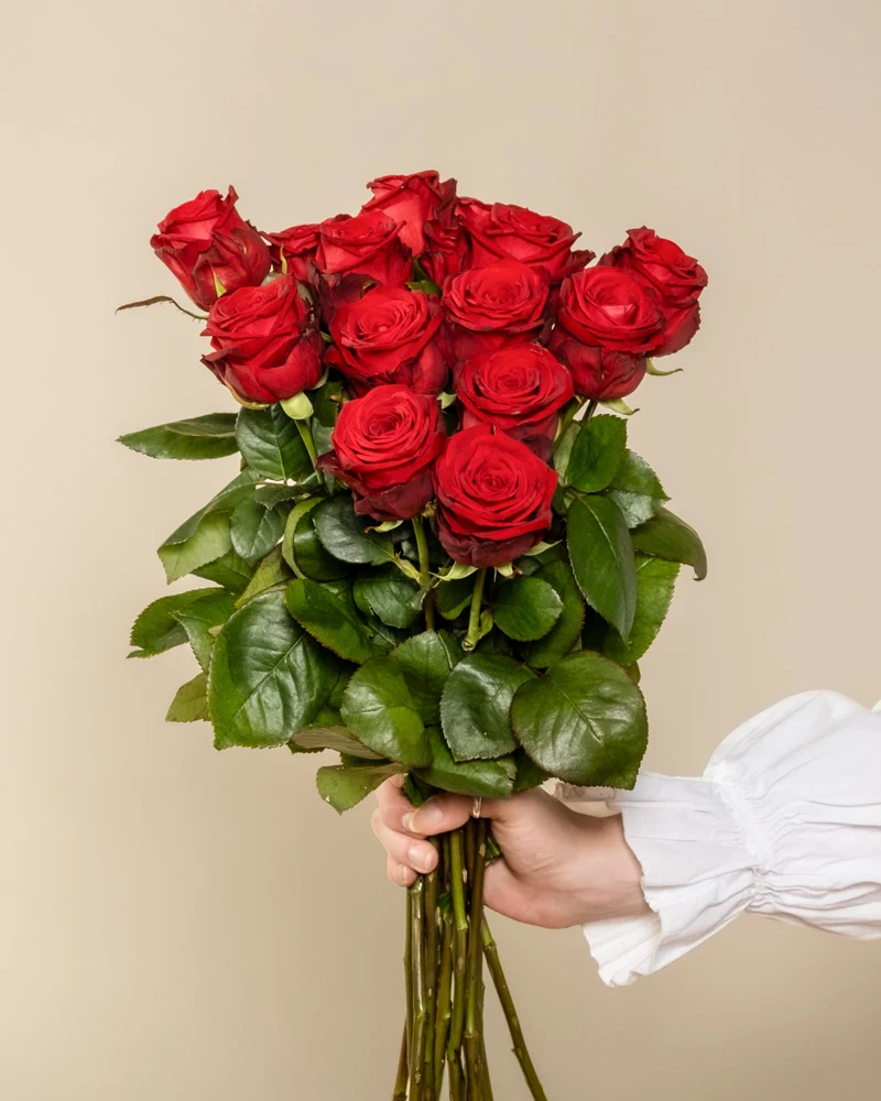 Rote Rosen