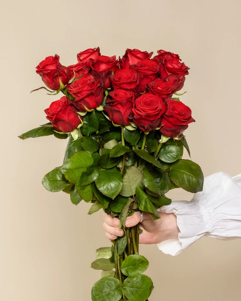 Rote Rosen
