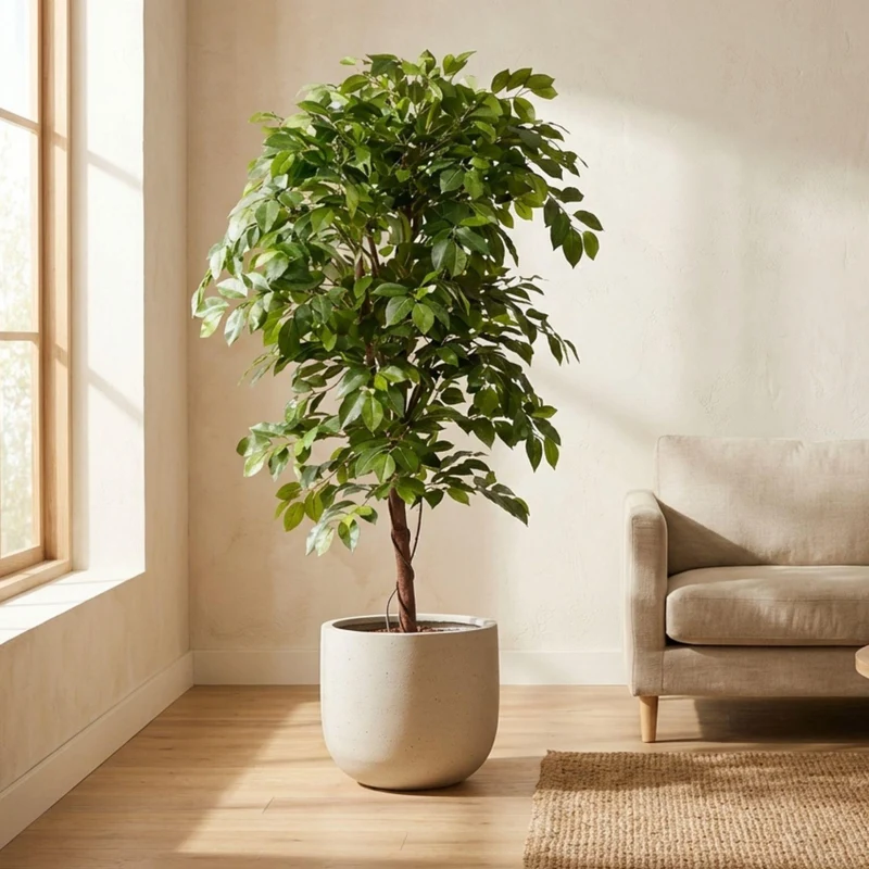 Künstlicher Ficus Deluxe Weinrebenbaum 140 cm