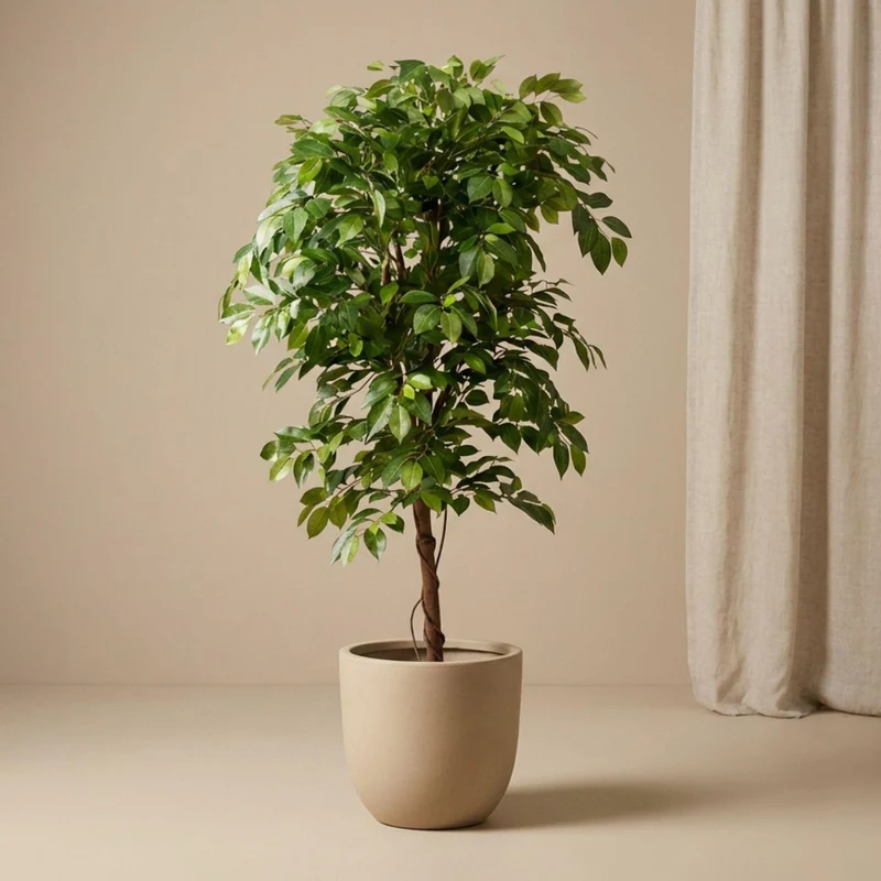 Künstlicher Ficus Deluxe Weinrebenbaum 140 cm