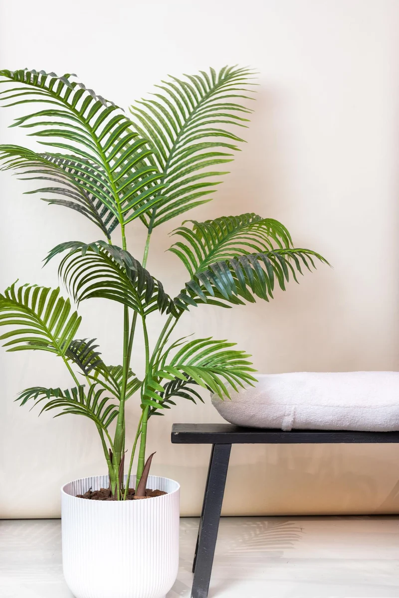 Kunstpflanze - Howea Forsteriana - 140cm,160cm