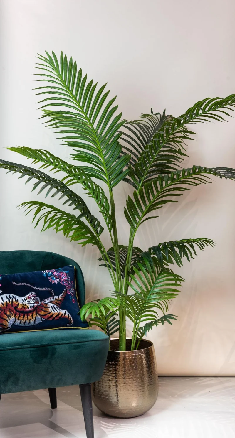Kunstpflanze - Howea Forsteriana - 140cm,160cm