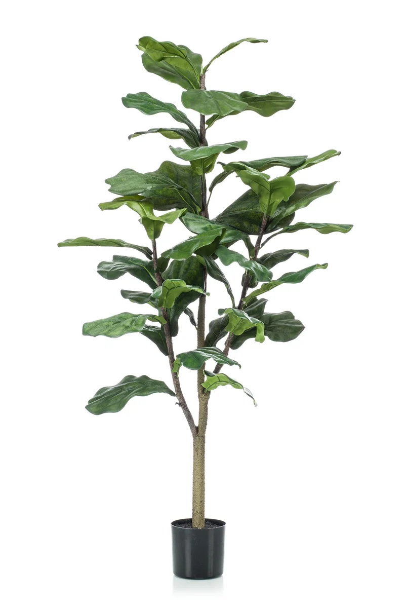 Kunstpflanze Ficus Lyrata (Tabakspflanze/Geigenfeige) 90–180 cm