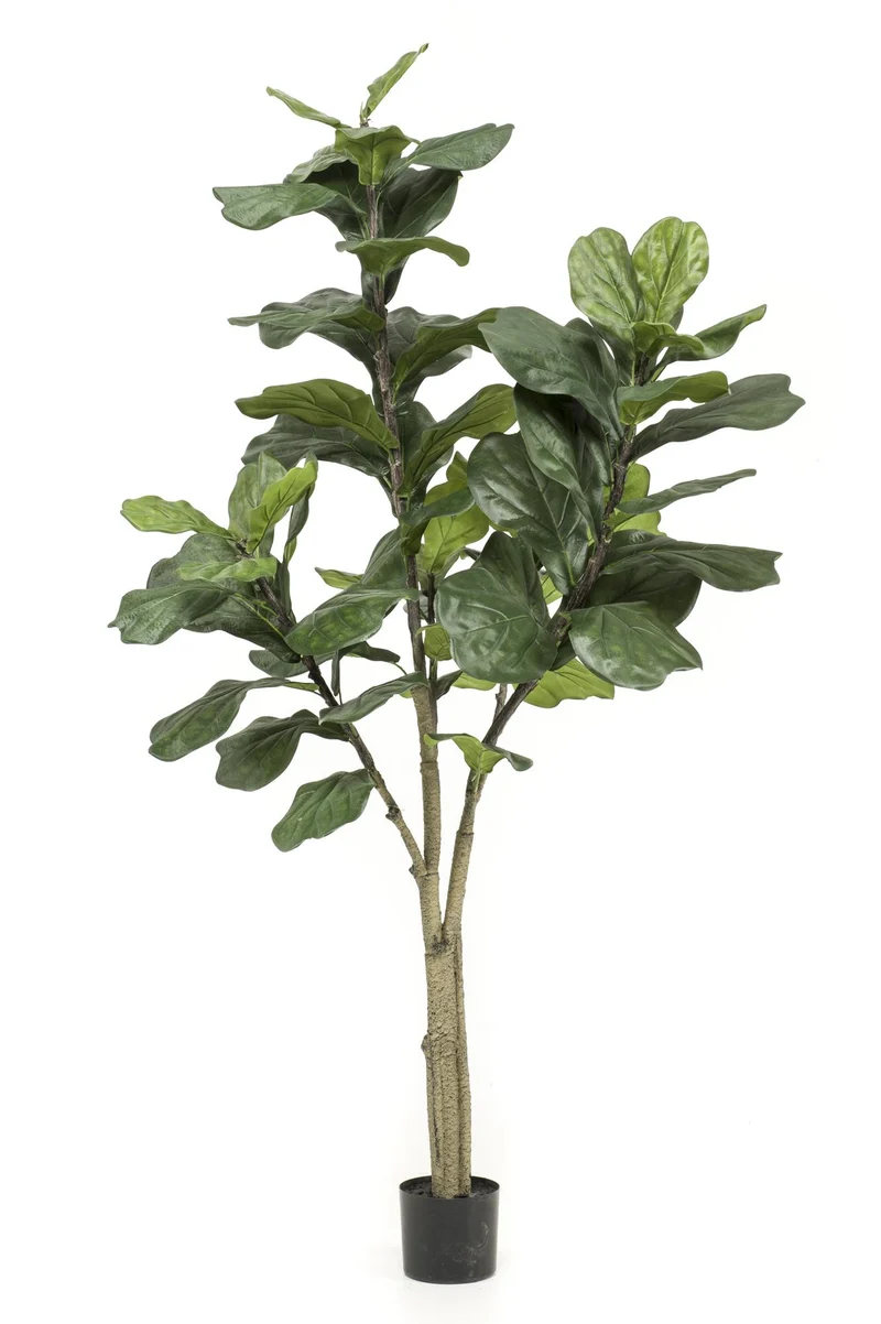 Kunstpflanze Ficus Lyrata (Tabakspflanze/Geigenfeige) 90–180 cm