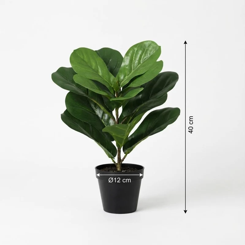 Künstliche Ficus lyrata (Geigenfeige) 40, 150 & 180 cm