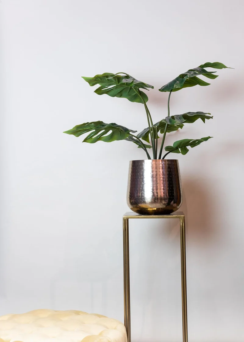 Kunstpflanze - Monstera Deliciosa - Löcherpflanze - 45cm-180cm
