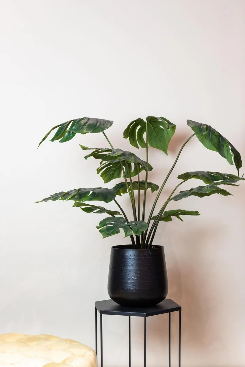 Kunstpflanze - Monstera Deliciosa - Löcherpflanze - 45cm-180cm