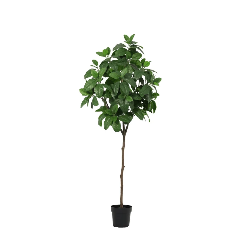 Kunstpflanze Magnolia - 190cm