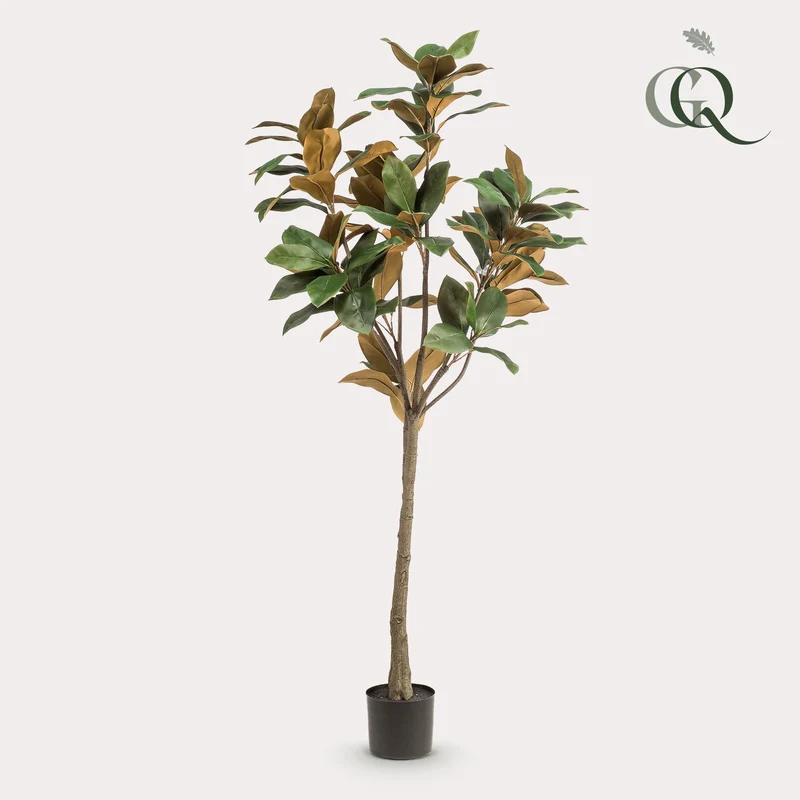 Kunstpflanze - Magnolia Grandiflora (150cm, 180cm)