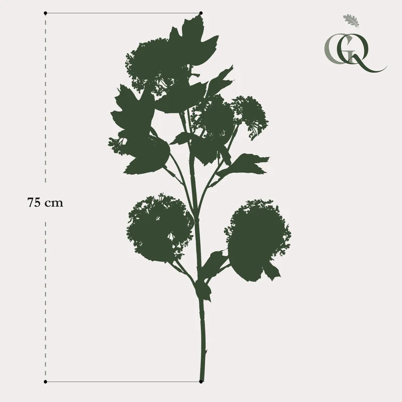 Künstliche Blumen Solo Cream Viburnum Opulus Zweige x 4 75cm