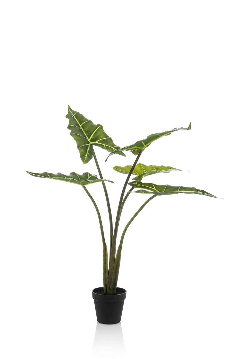 Kunstpflanze - Alocasia Frydek - 80cm & 120cm