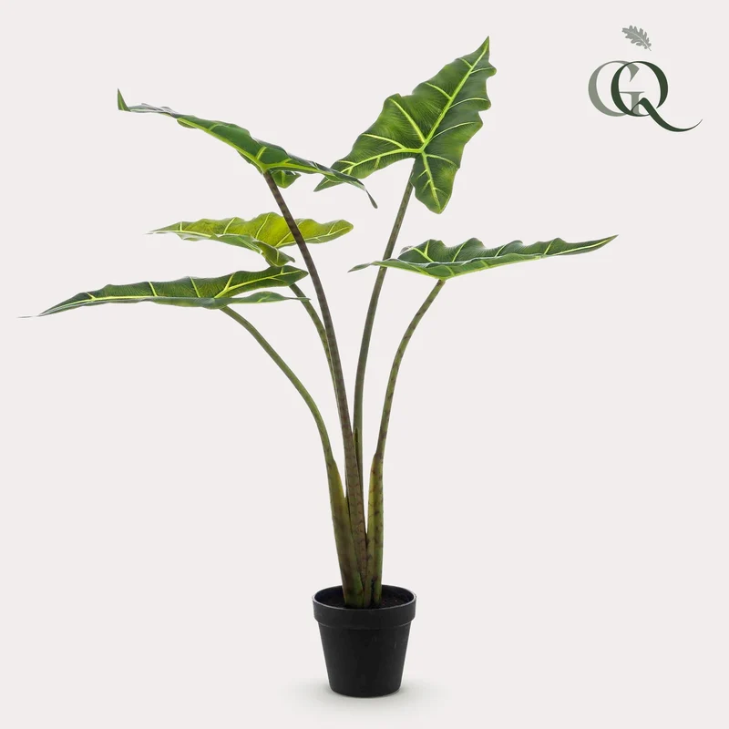 Kunstpflanze - Alocasia Frydek - 80cm & 120cm