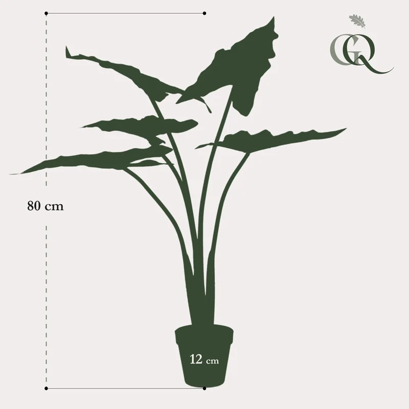 Kunstpflanze - Alocasia Frydek - 80cm & 120cm