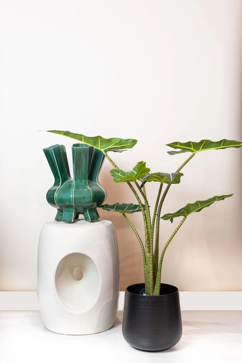 Kunstpflanze - Alocasia Frydek - 80cm & 120cm