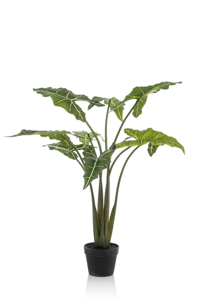 Kunstpflanze - Alocasia Frydek - 80cm & 120cm